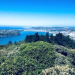 Dunedin: Small Group City Highlights Tour - Value and Pricing