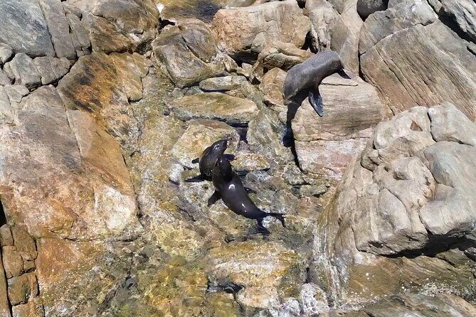 Dunsborough Eco and Snorkel Boat Tour - Is It Worth the Price?