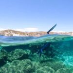 Dunsborough: Geographe Bay Eco & Snorkel Boat Tour - Key Points
