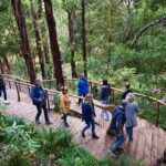 Dusk Discovery Tour - The Itinerary in Detail