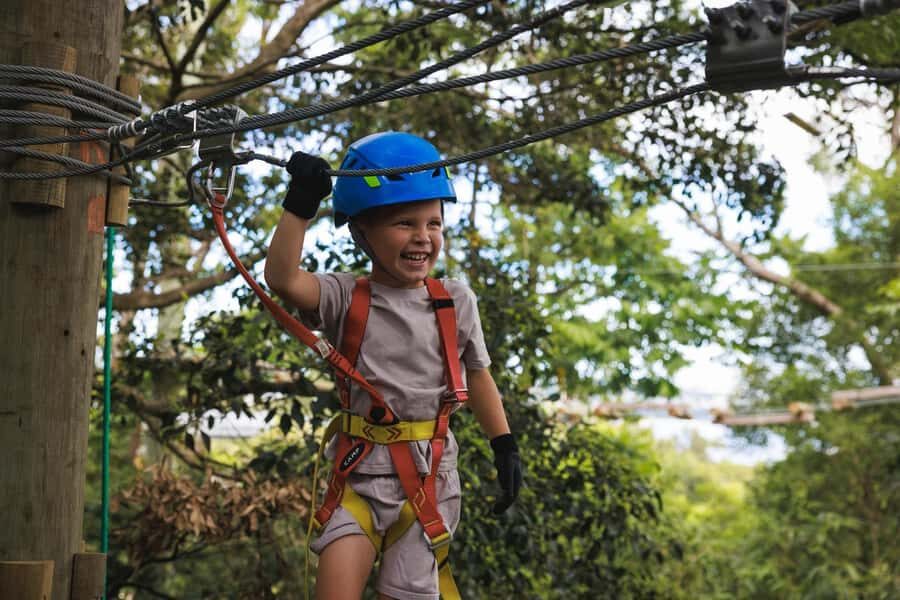 Dwellingup: Junior Tree Ropes Course - What the Activities Entail