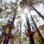 Dwellingup: Tree Ropes Course - The Sum Up