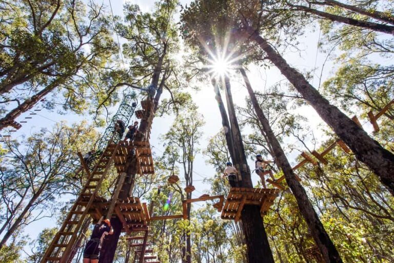Dwellingup: Tree Ropes Course - The Sum Up