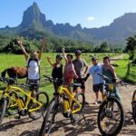 E-Bike Moorea Electric Bike Belvedere Tour (2 people minimum) - Who Will Love This Tour?