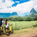 E-Bike Moorea Electric Bike Rental Moorea - Maintenance and Customer Service