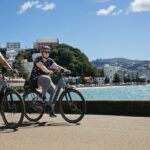 Easy Rider Two-Hour Wellington eBike Tour - Who is This Tour Best Suited For?