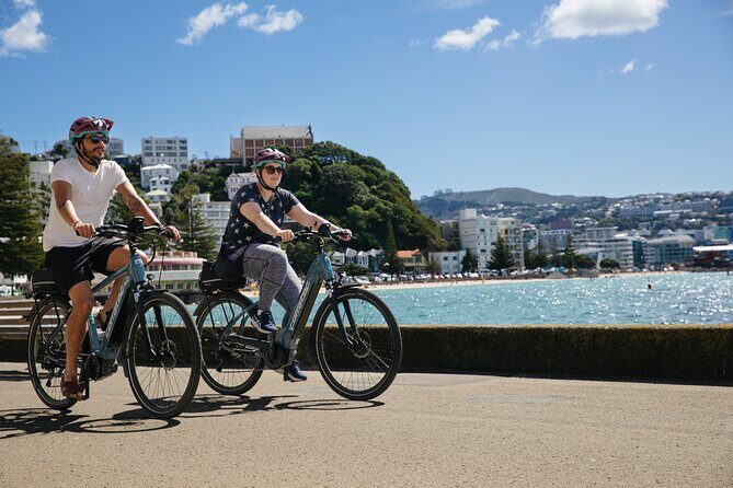 Easy Rider Two-Hour Wellington eBike Tour - Who is This Tour Best Suited For?