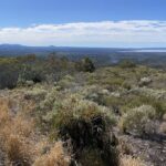 eBike Noosa Sightseeing Tour - New! - Discovering Noosa: A Detailed Look at the eBike Tour