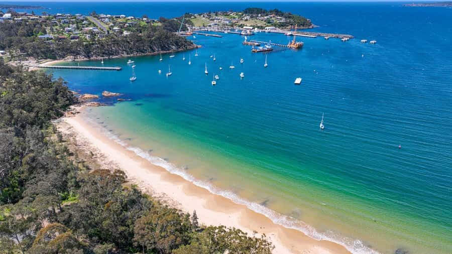 Eden: 2-Hour Highlights Tour, Nature, Beaches and Lookouts - Real Travelers’ Perspectives