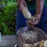 Eden's Kava Experience - Who Will Enjoy This Tour?