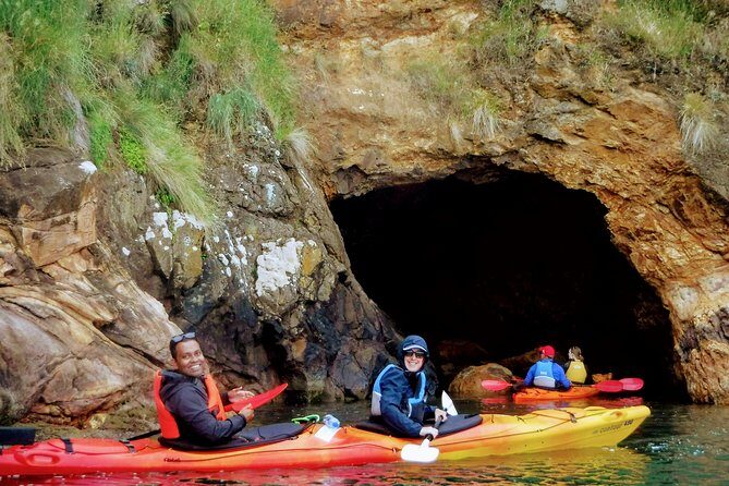 Electric Mountain Bike & Sea Kayak Tour in Akaroa - An In-Depth Look at the Experience