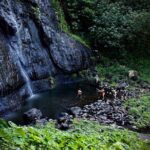 Enjoy Moorea Private day tour - Why This Tour Stands Out