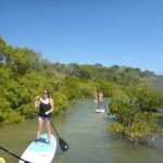 Epic Stand Up Paddle -Stingray & Mangrove Tour (Full Guided) - What Makes This Tour Stand Out?