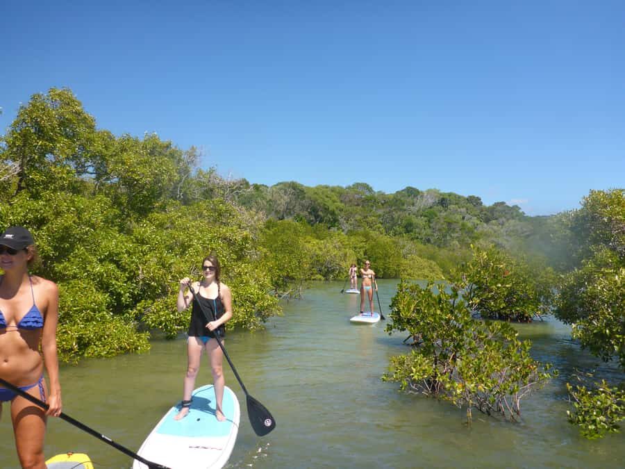 Epic Stand Up Paddle -Stingray & Mangrove Tour (Full Guided) - What Makes This Tour Stand Out?