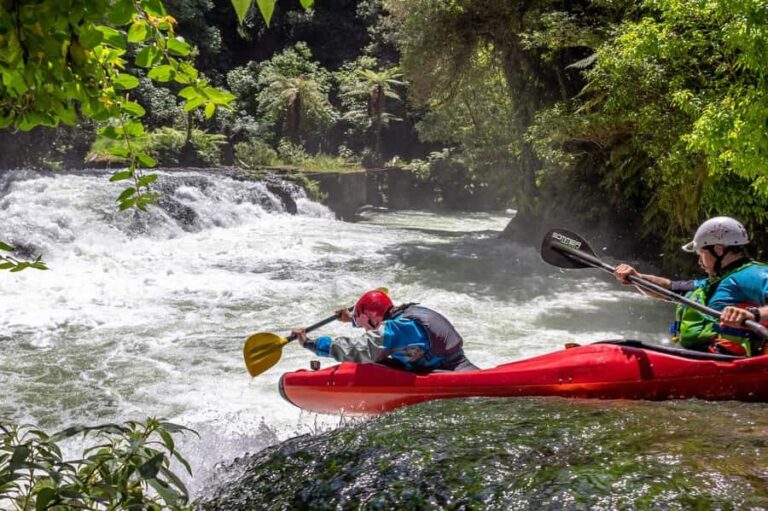 Epic Tandem Kayak Tour down the Kaituna River Waterfalls - Why This Tour Is Worth Considering