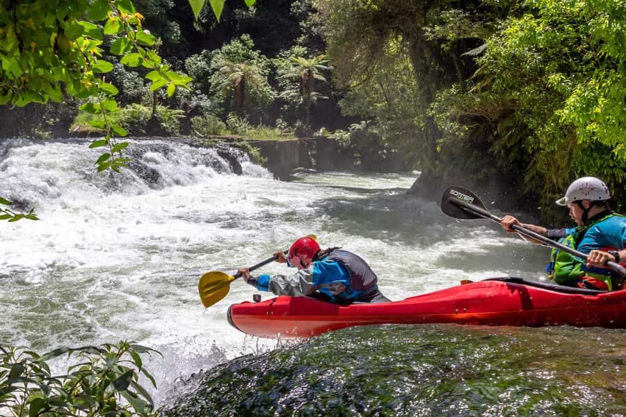 Epic Tandem Kayak Tour down the Kaituna River Waterfalls - Why This Tour Is Worth Considering