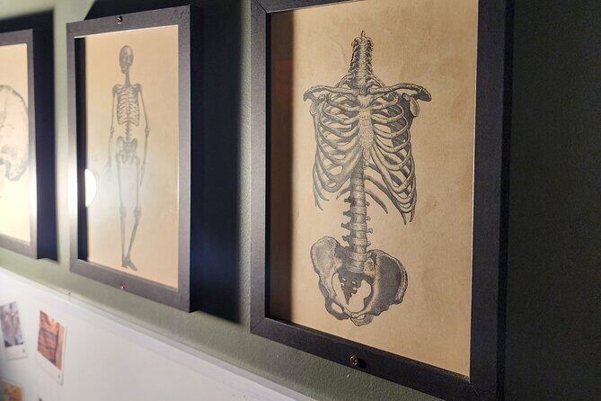 Escape Room Experience Taupo - The Hunting Lodge - Practical Tips for Visitors