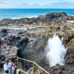 Escape Sydney: Sea Cliff Bridge, Wildlife, Kiama Coast Private - The Sum Up
