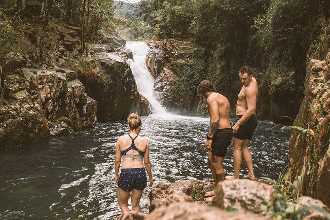 Eungella Platypus Tour - Authentic Experiences and Real Reviews