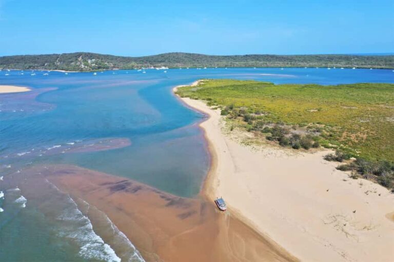 Eurimbula National Park Tour: Picnic on the Beach - Who Will Love This Tour?