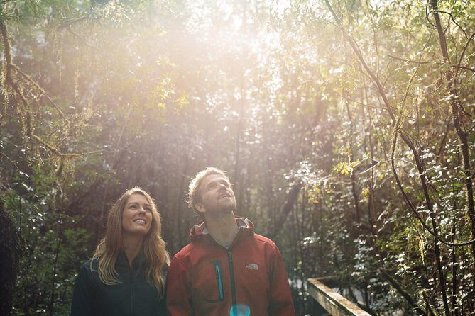 Evening Dinner Cruise - A Detailed Look at the Experience