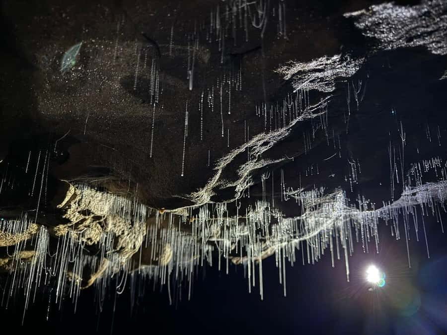 Ex Auckland Spellbound Glowworm & Cave Explorer Private Tour - Who Should Consider This Tour?