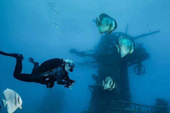 Ex- HMAS Swan Wreck Double Boat Dive - The Ideal Diver for This Tour