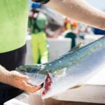 Exceptional Port Lincoln, Seafood and Wildlife Tour - What to Expect in Terms of Transportation and Group Size