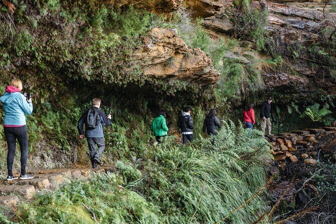 Exclusive Blue Mountains Wildlife and Bushwalk Tour From Sydney - Why This Tour Offers Great Value