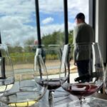 Exclusive Martinborough Wine Tour - Practical Aspects and Considerations