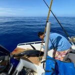 Exit fishing wholesale - What to Expect from the Moorea Exit Fishing Wholesale Tour