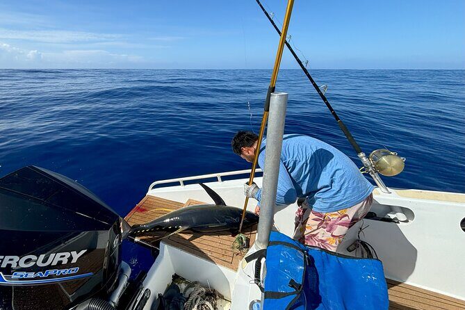 Exit fishing wholesale - What to Expect from the Moorea Exit Fishing Wholesale Tour