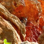 Exmouth: Cape Range Explorer One-Day Trekking Adventure - What Makes This Tour Stand Out?