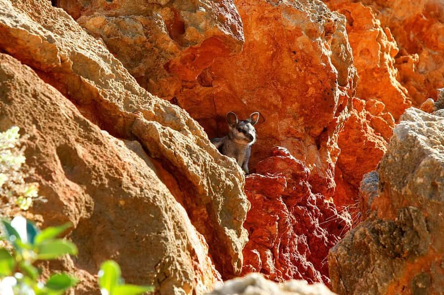 Exmouth: Cape Range Explorer One-Day Trekking Adventure - What Makes This Tour Stand Out?