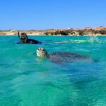 Exmouth: Half Day Turtle Kayak & Snorkel Tour - The Itinerary: What You Can Expect