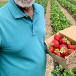 Experience Hahndorf & Barossa: Gourmet lunch, Wine, Beer & Treats - FAQs