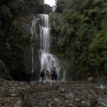 Explore BLACK SAND PIHA BEACH, and Water Falls in West Auckland - FAQ