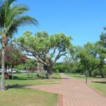 Explore Delightful Darwin: Self-Guided Audio Tour - What’s Included and What’s Not
