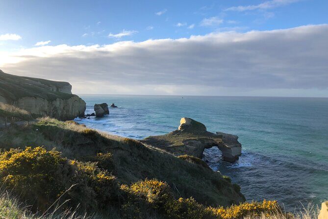 Explore Dunedin: Self-Guided Audio Tour Adventure - The Itinerary: A Walk Through Dunedin’s Highlights