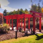 Explore gardens & galleries filled with incredible art, Matakana - The Family-Friendly Appeal