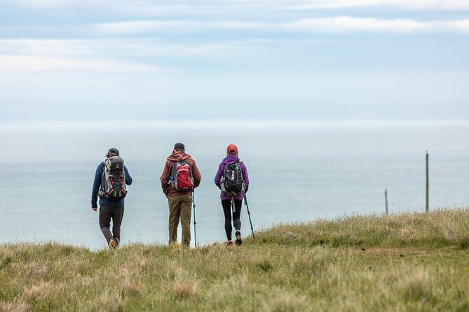 Explore Godley Head, Lyttelton & Christchurch (Small Group Tour) - Who Will Love This Tour?