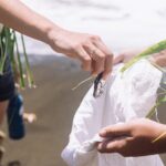 Explore old-fashioned Polynesian life and prepare a local meal - The Value of Authenticity and Simplicity