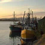 Explore Tauranga: Self-Guided Audio Tour - Frequently Asked Questions