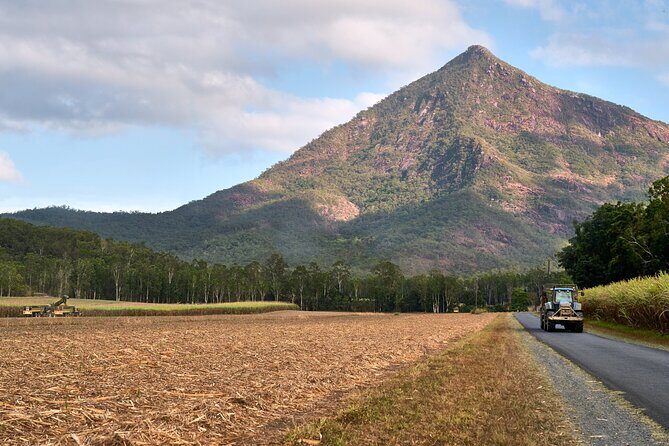 Explorer Tour by Cairns Waterfalls - Starting Strong: Cairns Botanic Gardens and Campbells Lookout