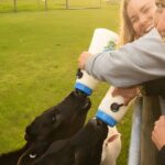 Farm Tour and Milford Sound Nature Cruise from Te Anau - The Itinerary in Detail