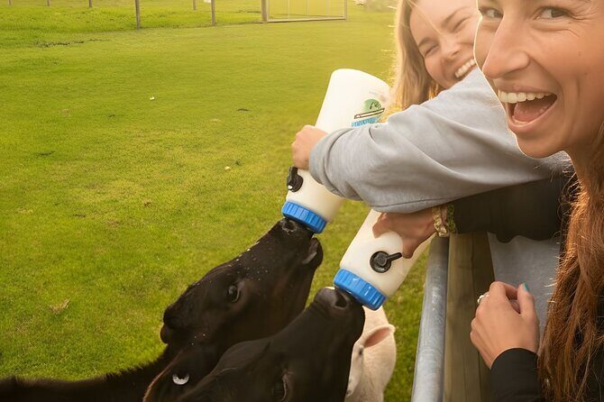 Farm Tour and Milford Sound Nature Cruise from Te Anau - The Itinerary in Detail