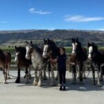 Farm & Wine Experience Fun Experience from Queenstown New Zealand - Who Will Love This Tour?