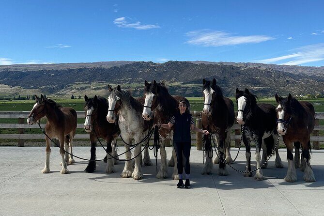 Farm & Wine Experience Fun Experience from Queenstown New Zealand - Who Will Love This Tour?
