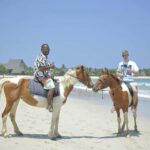 Fiji: Beach Horseback Riding Tour with Lunch and Transfer - What’s Included and What’s Not