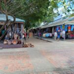 Fiji: Discover Nadi with Sabeto Hotspring and Mudpool Tour - The Practicalities: What to Expect